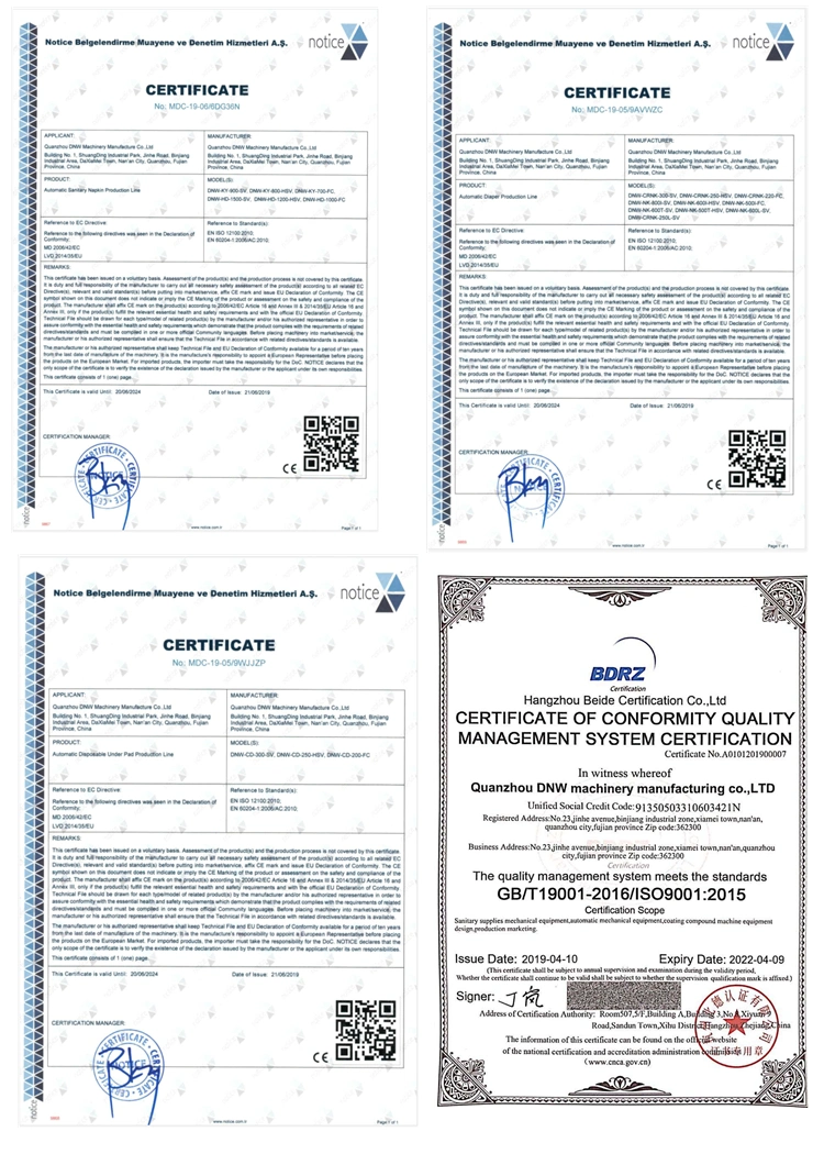 China Supplier Smei-Servo Underpad Machine Price